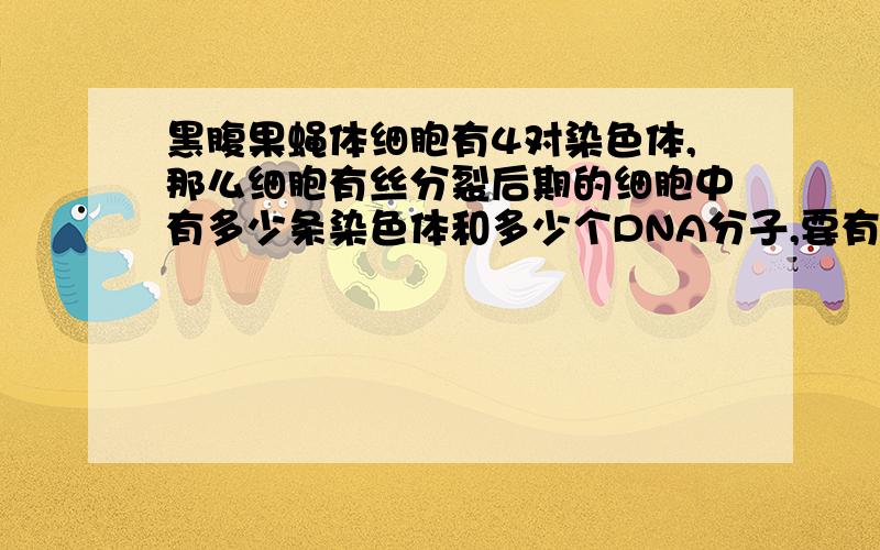 黑腹果蝇体细胞有4对染色体,那么细胞有丝分裂后期的细胞中有多少条染色体和多少个DNA分子,要有说明