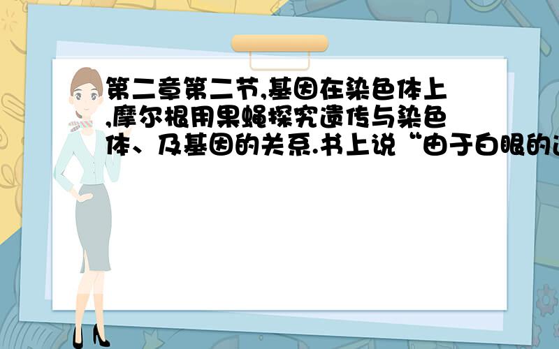 第二章第二节,基因在染色体上,摩尔根用果蝇探究遗传与染色体、及基因的关系.书上说“由于白眼的遗传和性别相联系,而且与X染