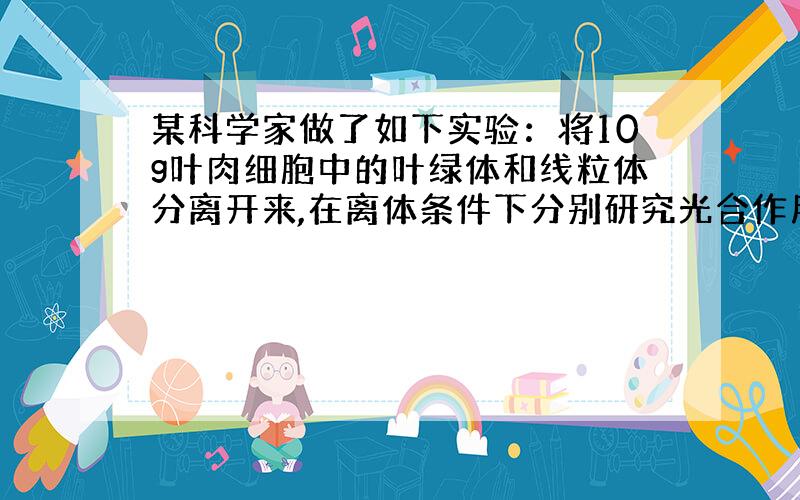 某科学家做了如下实验：将10g叶肉细胞中的叶绿体和线粒体分离开来,在离体条件下分别研究光合作用中CO2吸收量(A图)和呼