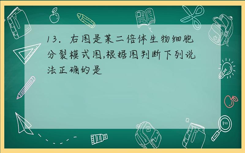 13．右图是某二倍体生物细胞分裂模式图,根据图判断下列说法正确的是