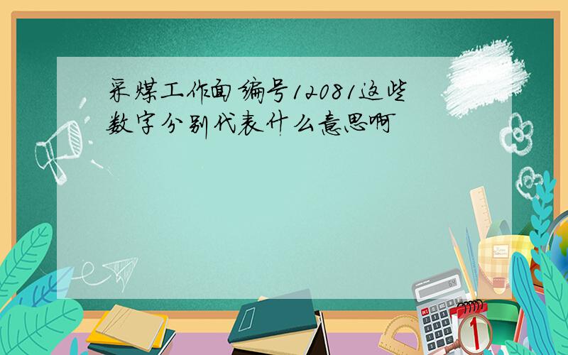 采煤工作面编号12081这些数字分别代表什么意思啊