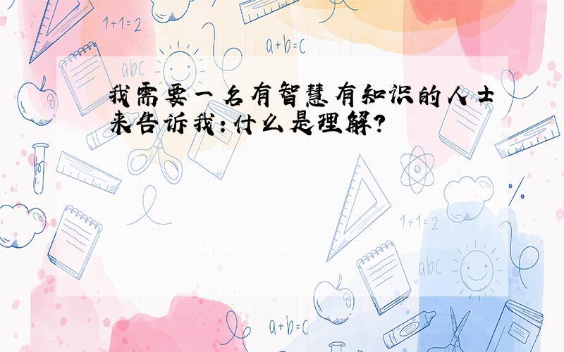 我需要一名有智慧有知识的人士来告诉我：什么是理解?