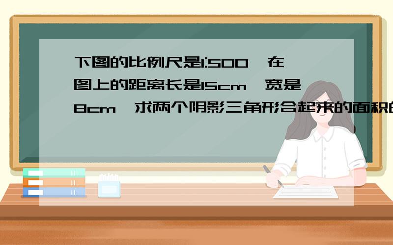 下图的比例尺是1:500,在图上的距离长是15cm,宽是8cm,求两个阴影三角形合起来的面积的面积.