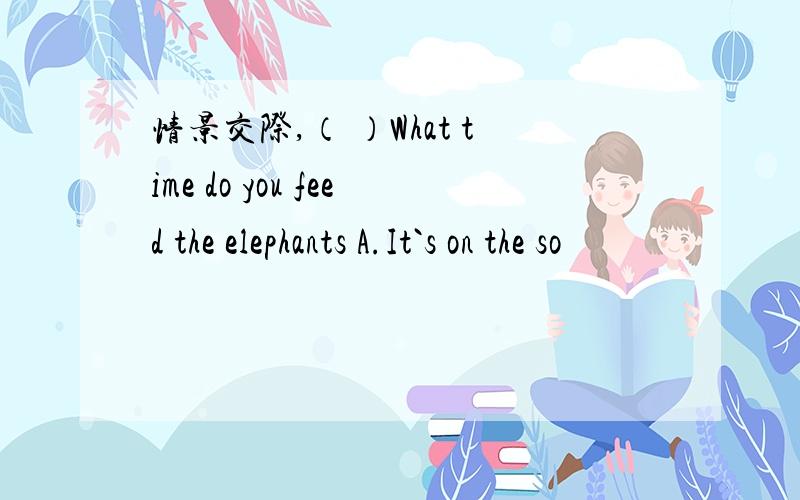 情景交际,（ ）What time do you feed the elephants A.It`s on the so