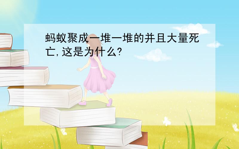 蚂蚁聚成一堆一堆的并且大量死亡,这是为什么?