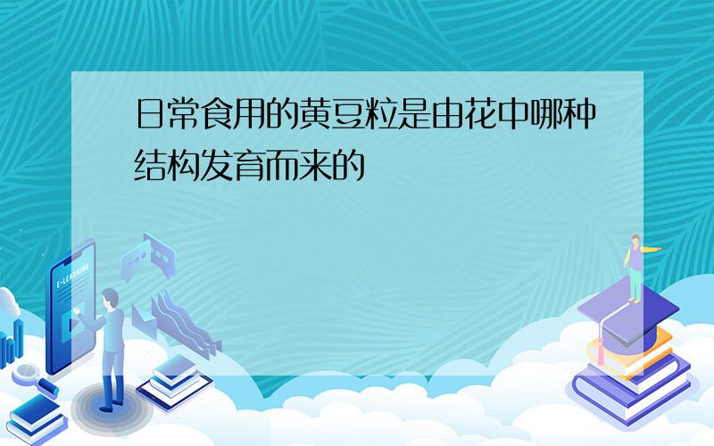 日常食用的黄豆粒是由花中哪种结构发育而来的