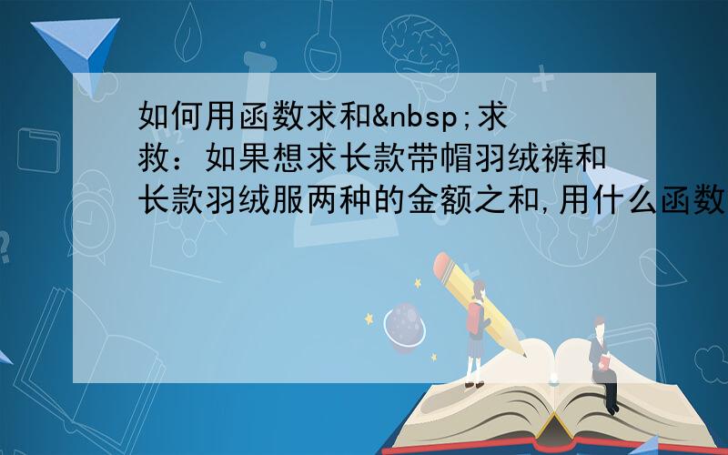 如何用函数求和 求救：如果想求长款带帽羽绒裤和长款羽绒服两种的金额之和,用什么函数呢?