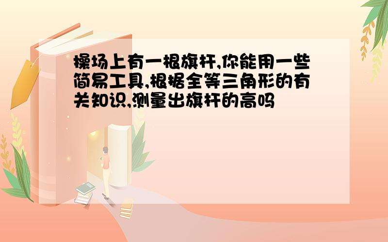 操场上有一根旗杆,你能用一些简易工具,根据全等三角形的有关知识,测量出旗杆的高吗