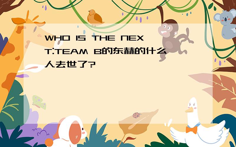 WHO IS THE NEXT:TEAM B的东赫的什么人去世了?