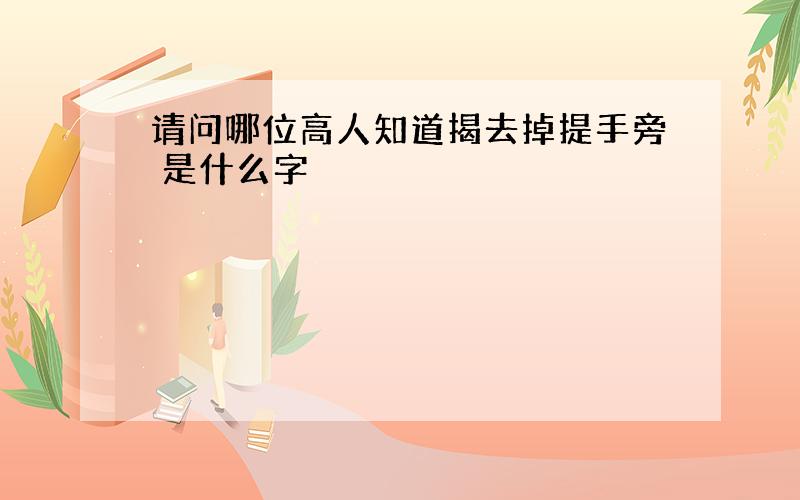 请问哪位高人知道揭去掉提手旁 是什么字