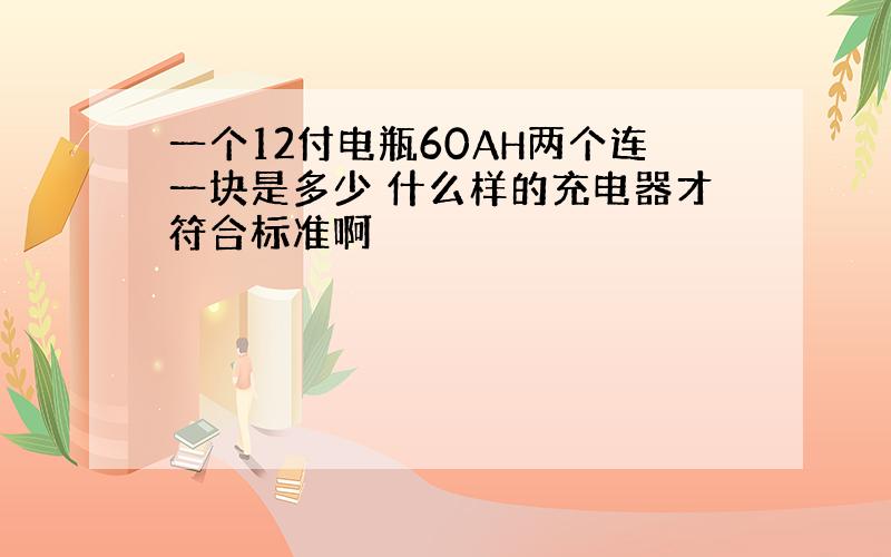 一个12付电瓶60AH两个连一块是多少 什么样的充电器才符合标准啊