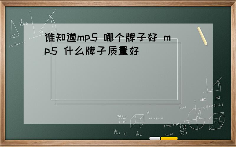 谁知道mp5 哪个牌子好 mp5 什么牌子质量好