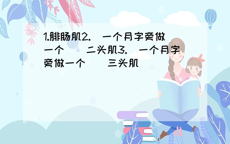 1.腓肠肌2.（一个月字旁做一个厷）二头肌3.（一个月字旁做一个厷）三头肌