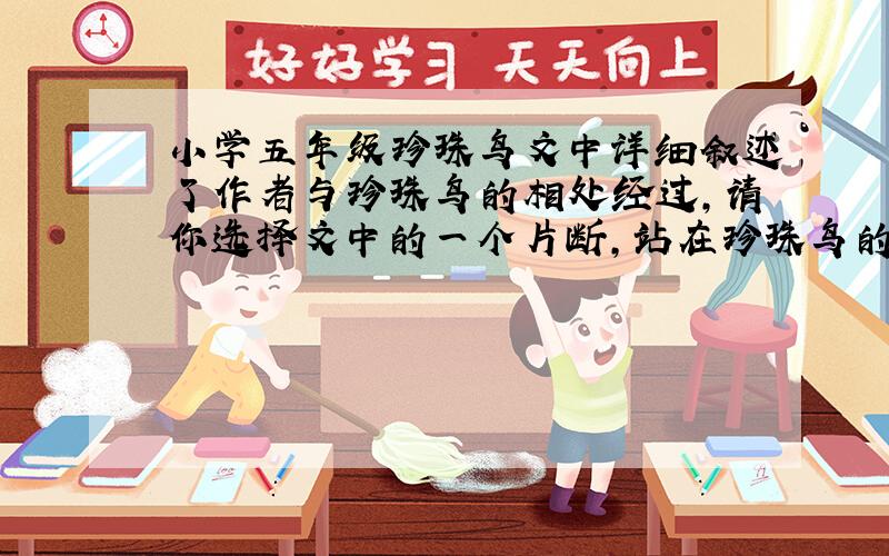 小学五年级珍珠鸟文中详细叙述了作者与珍珠鸟的相处经过,请你选择文中的一个片断,站在珍珠鸟的角度,以“我“的口吻介绍作者与