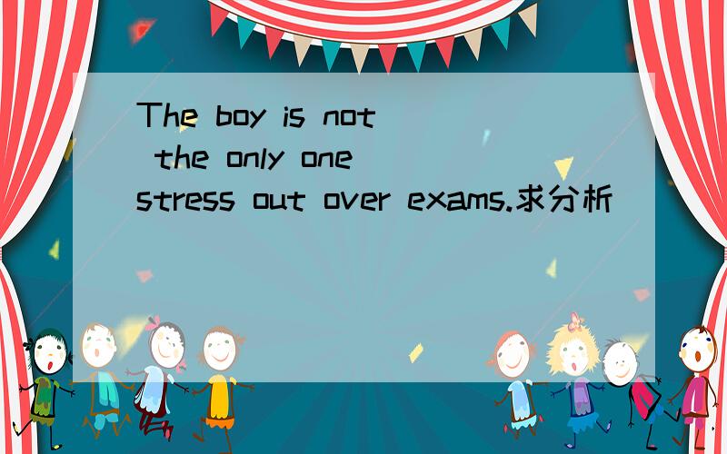 The boy is not the only one stress out over exams.求分析