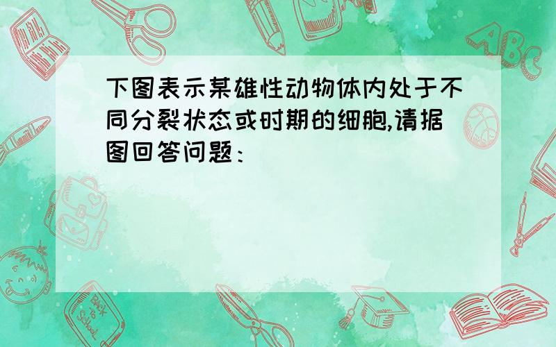 下图表示某雄性动物体内处于不同分裂状态或时期的细胞,请据图回答问题：