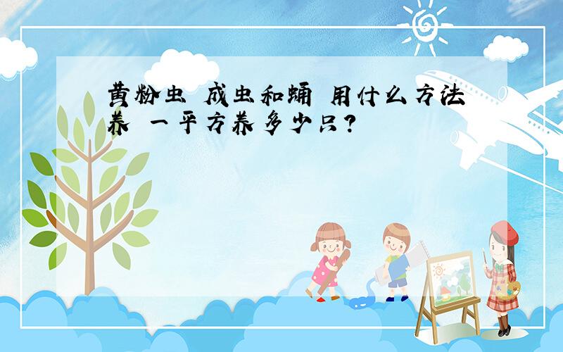 黄粉虫 成虫和蛹 用什么方法养 一平方养多少只?