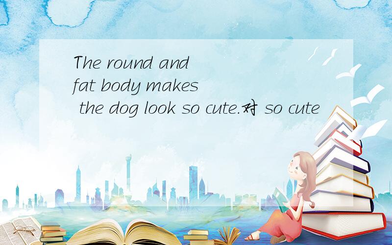 The round and fat body makes the dog look so cute.对 so cute