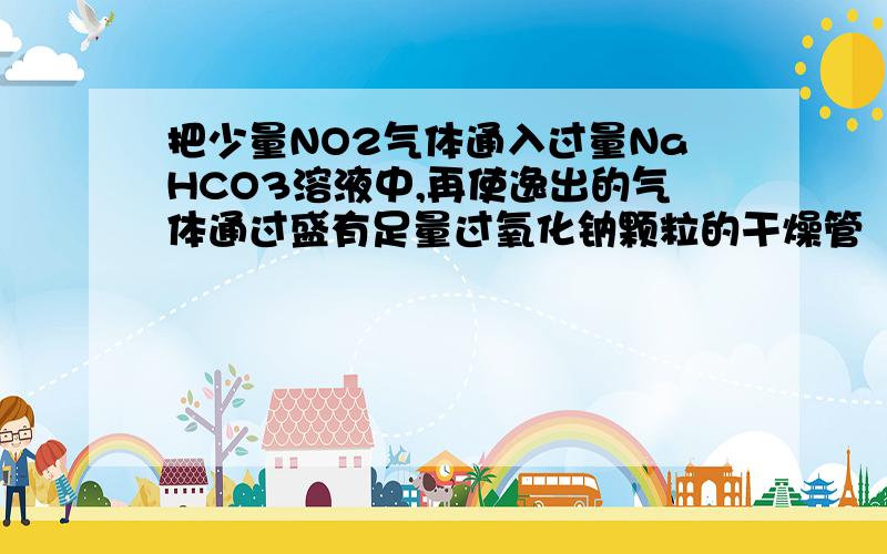 把少量NO2气体通入过量NaHCO3溶液中,再使逸出的气体通过盛有足量过氧化钠颗粒的干燥管