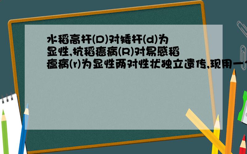 水稻高杆(D)对矮杆(d)为显性,抗稻癌病(R)对易感稻瘟病(r)为显性两对性状独立遗传,现用一个纯?