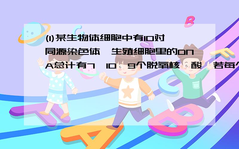 (1)某生物体细胞中有10对同源染色体,生殖细胞里的DNA总计有7*10^9个脱氧核苷酸,若每个基因中平均含有脱氧核苷酸