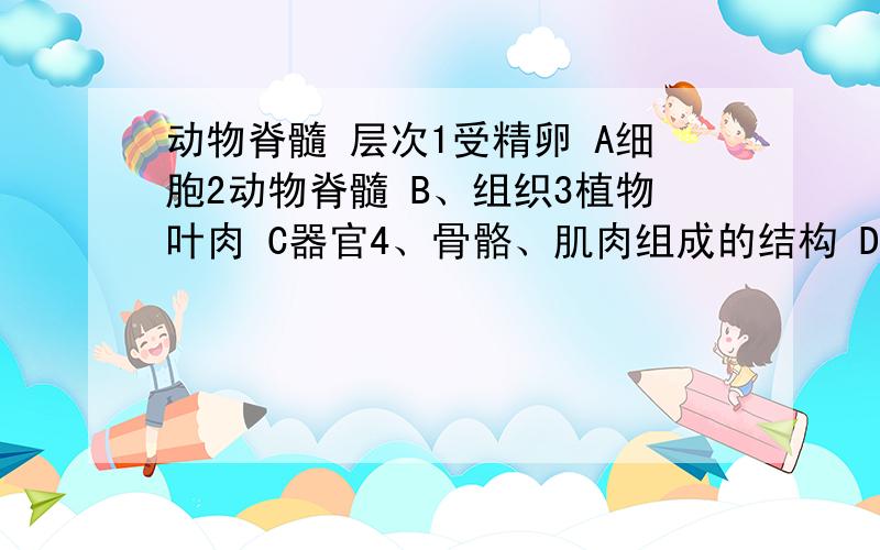 动物脊髓 层次1受精卵 A细胞2动物脊髓 B、组织3植物叶肉 C器官4、骨骼、肌肉组成的结构 D系统急,快的加50分啊