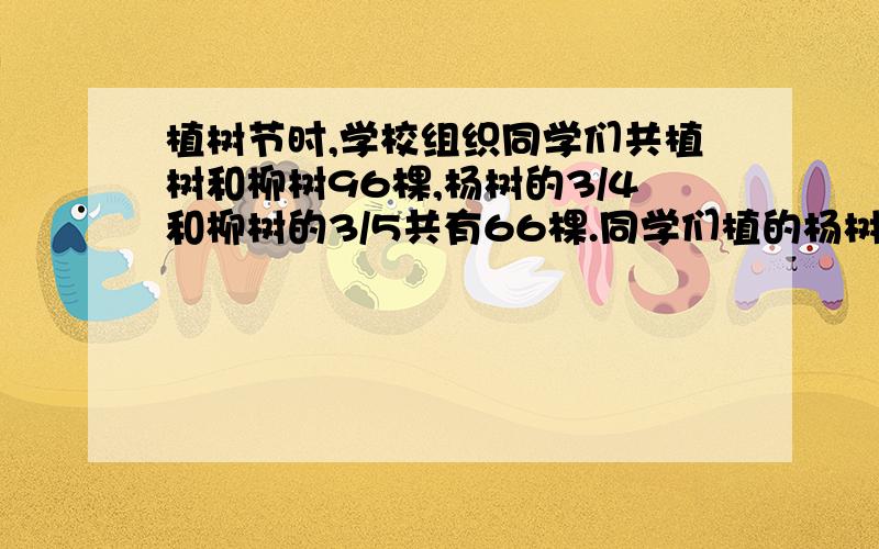 植树节时,学校组织同学们共植树和柳树96棵,杨树的3/4和柳树的3/5共有66棵.同学们植的杨树和柳树有几棵