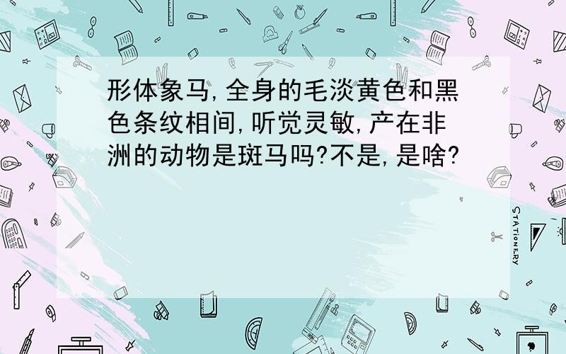 形体象马,全身的毛淡黄色和黑色条纹相间,听觉灵敏,产在非洲的动物是斑马吗?不是,是啥?