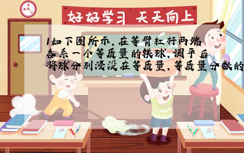 1如下图所示,在等臂杠杆两端各系一个等质量的铁球,调平后将球分别浸没在等质量,等质量分数的稀硫酸和硫酸铜溶液中,过一段时