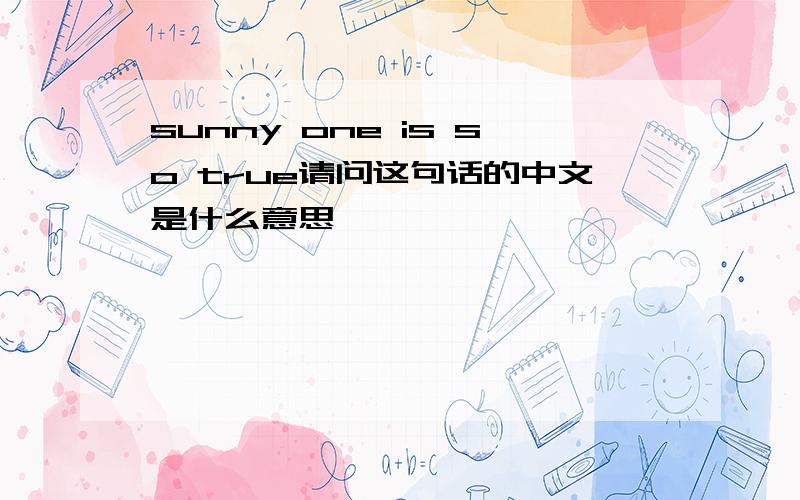 sunny one is so true请问这句话的中文是什么意思,