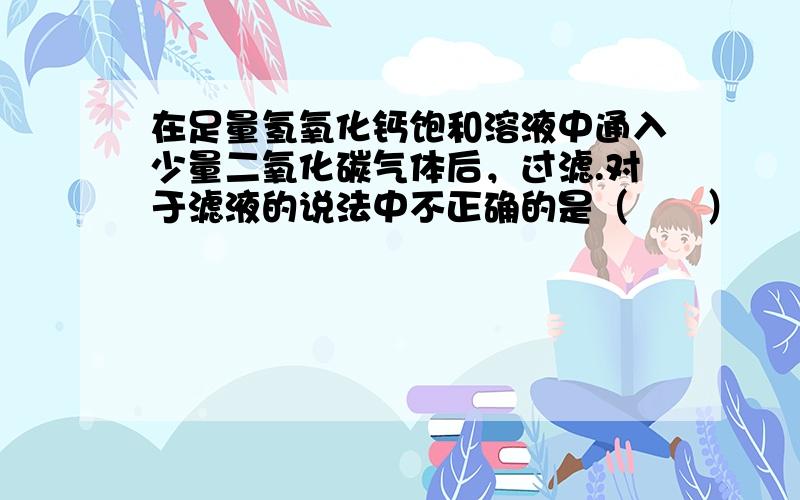 在足量氢氧化钙饱和溶液中通入少量二氧化碳气体后，过滤.对于滤液的说法中不正确的是（　　）