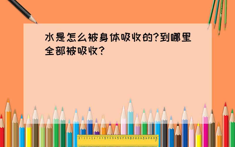 水是怎么被身体吸收的?到哪里全部被吸收?