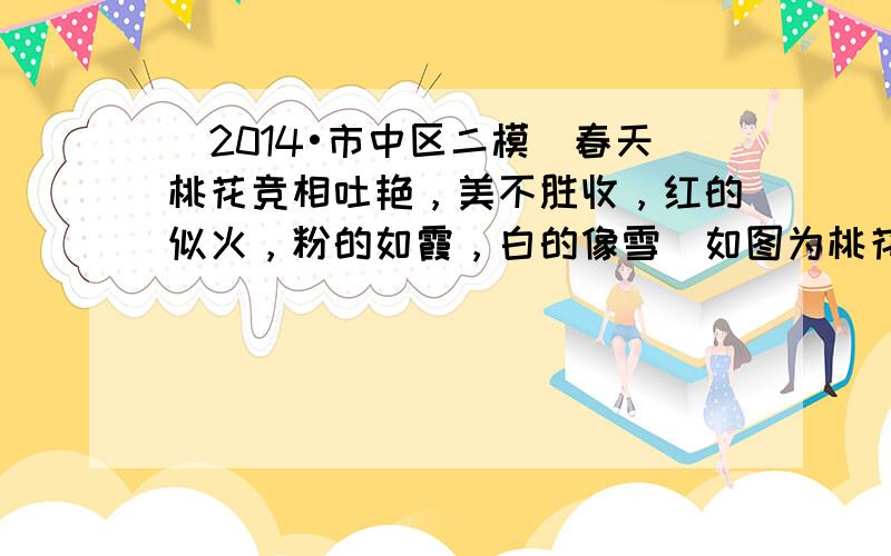 （2014•市中区二模）春天桃花竞相吐艳，美不胜收，红的似火，粉的如霞，白的像雪．如图为桃花传粉示意图，请据图分析回答：