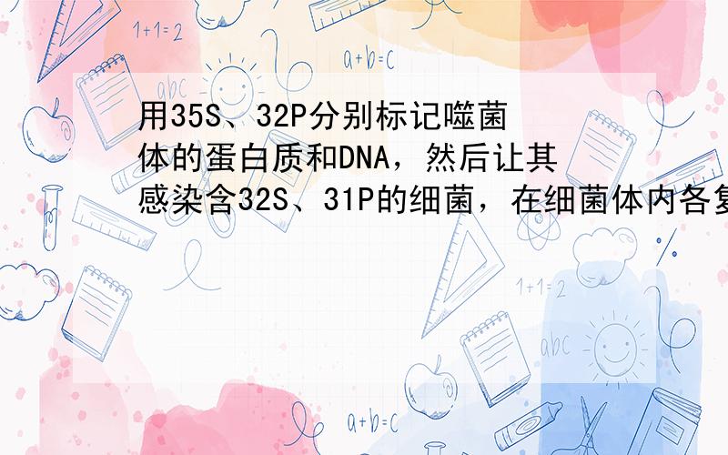 用35S、32P分别标记噬菌体的蛋白质和DNA，然后让其感染含32S、31P的细菌，在细菌体内各复制了4次后，子代噬菌体