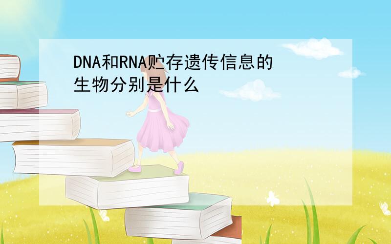 DNA和RNA贮存遗传信息的生物分别是什么