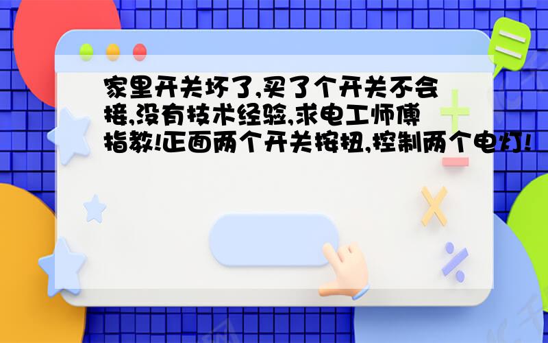 家里开关坏了,买了个开关不会接,没有技术经验,求电工师傅指教!正面两个开关按扭,控制两个电灯!