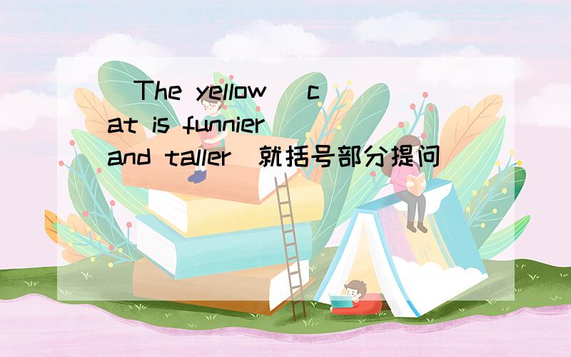 （The yellow） cat is funnier and taller（就括号部分提问）