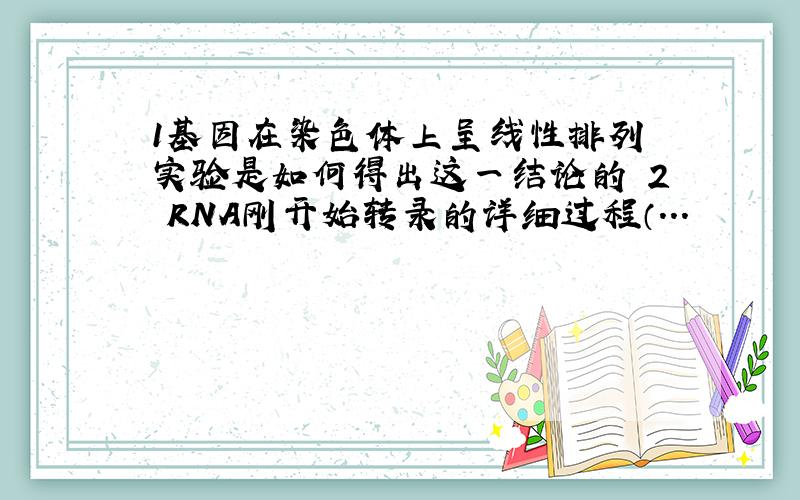 1基因在染色体上呈线性排列 实验是如何得出这一结论的 2 RNA刚开始转录的详细过程（...