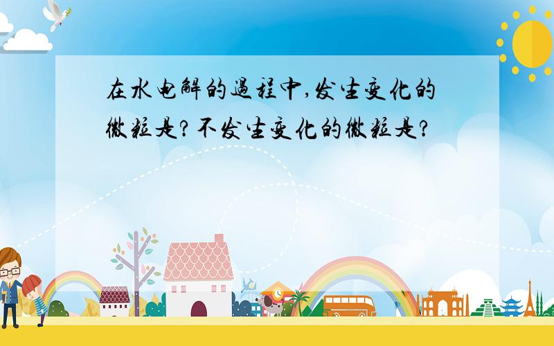 在水电解的过程中,发生变化的微粒是?不发生变化的微粒是?