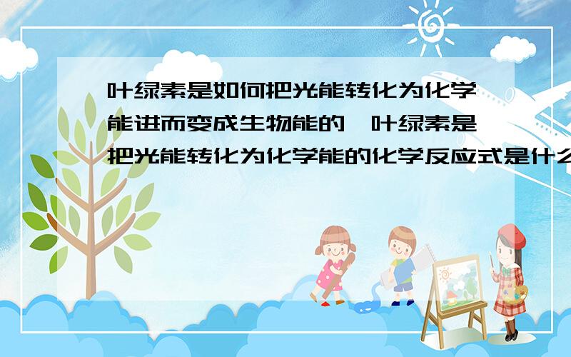 叶绿素是如何把光能转化为化学能进而变成生物能的,叶绿素是把光能转化为化学能的化学反应式是什么样的