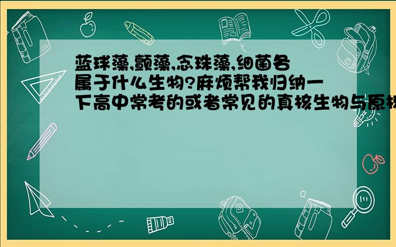 蓝球藻,颤藻,念珠藻,细菌各属于什么生物?麻烦帮我归纳一下高中常考的或者常见的真核生物与原核生物.