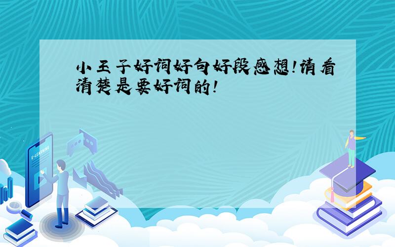 小王子好词好句好段感想!请看清楚是要好词的!