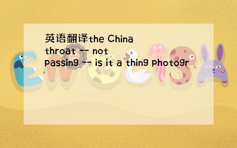 英语翻译the China throat -- not passing -- is it a thing photogr