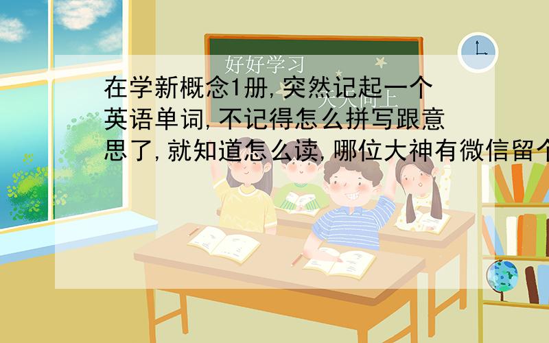 在学新概念1册,突然记起一个英语单词,不记得怎么拼写跟意思了,就知道怎么读,哪位大神有微信留个我读给你,帮我翻译下可以么