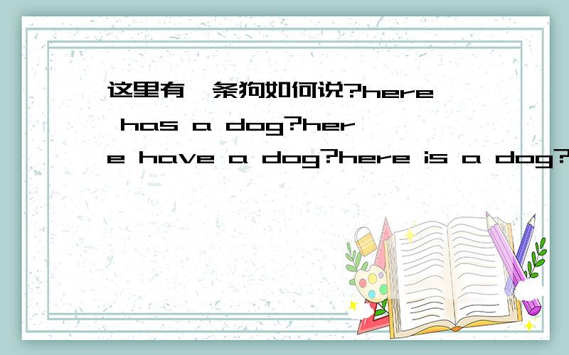 这里有一条狗如何说?here has a dog?here have a dog?here is a dog?那句对哪句