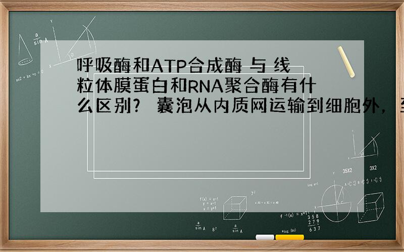 呼吸酶和ATP合成酶 与 线粒体膜蛋白和RNA聚合酶有什么区别？ 囊泡从内质网运输到细胞外，至少穿过几层磷脂双分子层？