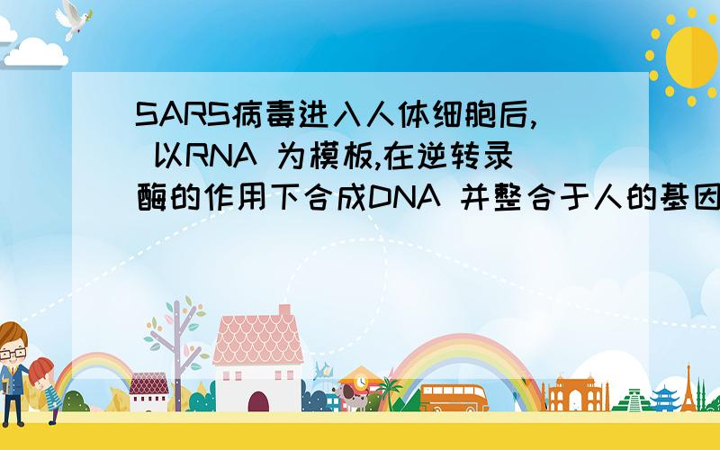 SARS病毒进入人体细胞后, 以RNA 为模板,在逆转录酶的作用下合成DNA 并整合于人的基因组中