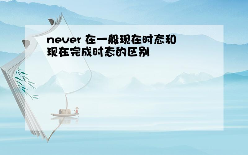 never 在一般现在时态和现在完成时态的区别