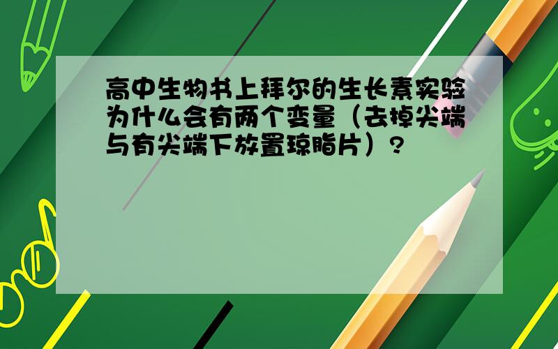 高中生物书上拜尔的生长素实验为什么会有两个变量（去掉尖端与有尖端下放置琼脂片）?