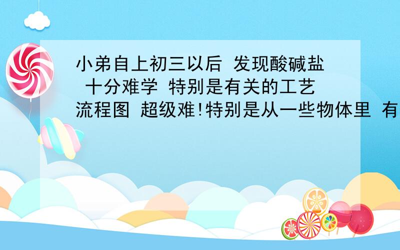 小弟自上初三以后 发现酸碱盐 十分难学 特别是有关的工艺流程图 超级难!特别是从一些物体里 有两种杂质以上 但又要提取其